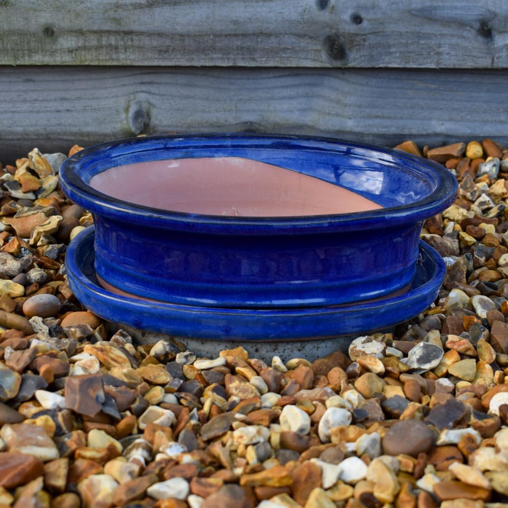 Bedwen Blue Ceramic Bonsai Pot & Tray Set – 26Cm X 20Cm Oval Dark Glazed Frost Proof Pot For Indoors & Garden