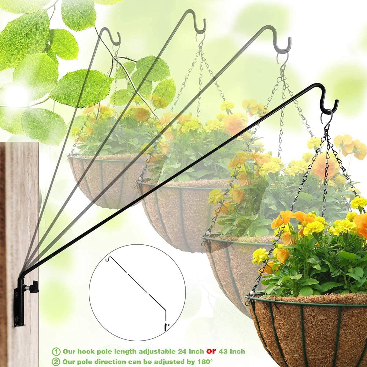 bamboo palm plant for sale Bamboo Palm – Interior Foliage Design main image 0