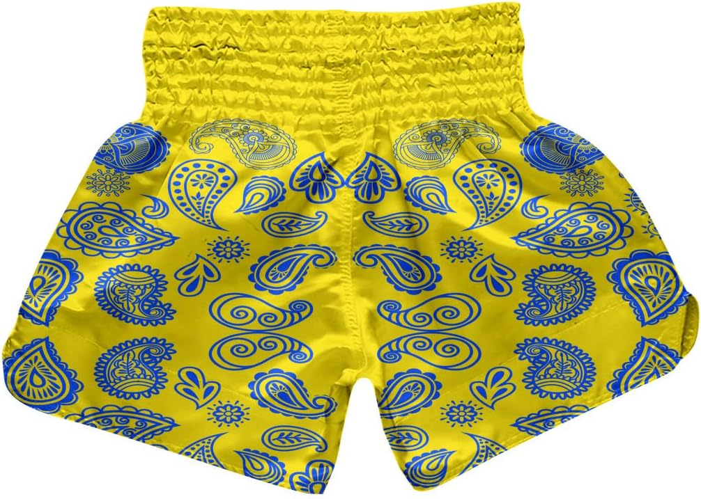 Muay Thai Shorts, Paisley Print Drawstring Kickboxing Shorts, Boxing Shorts, Men Women