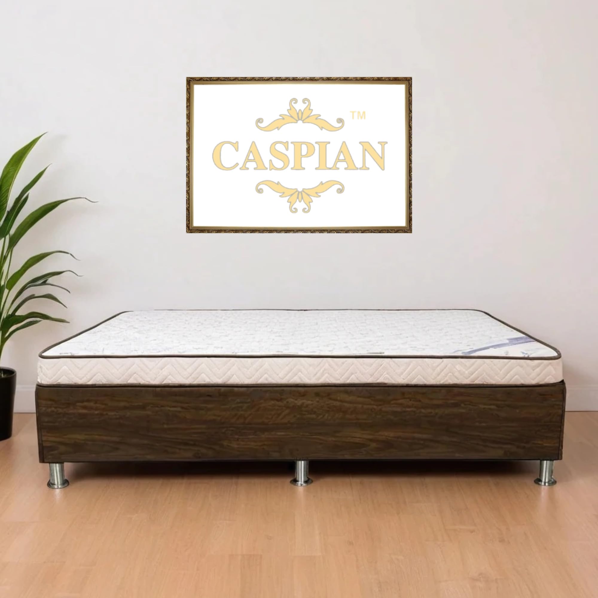 CASPIAN Furniture Single Bed Diwan/Sofa with Storage | Engineered Wooden Bed with Legs | Mattress Size 72 x 30 Recommended | (Colour - Original Wenge)-picture-3