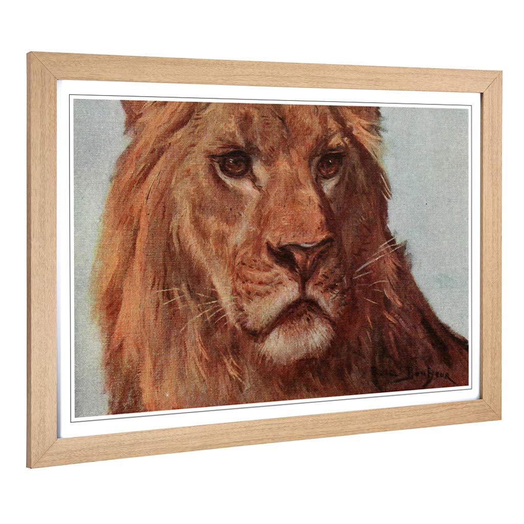 Big Box Art Framed Print of Vintage Bonheur. Rosa The Lion Meditating Design | Wall Art Picture | Home Decor for Kitchen, Living Room, Bedroom, Hallway, Oak, A2 / 24.5x18 Inch / 62x45cm