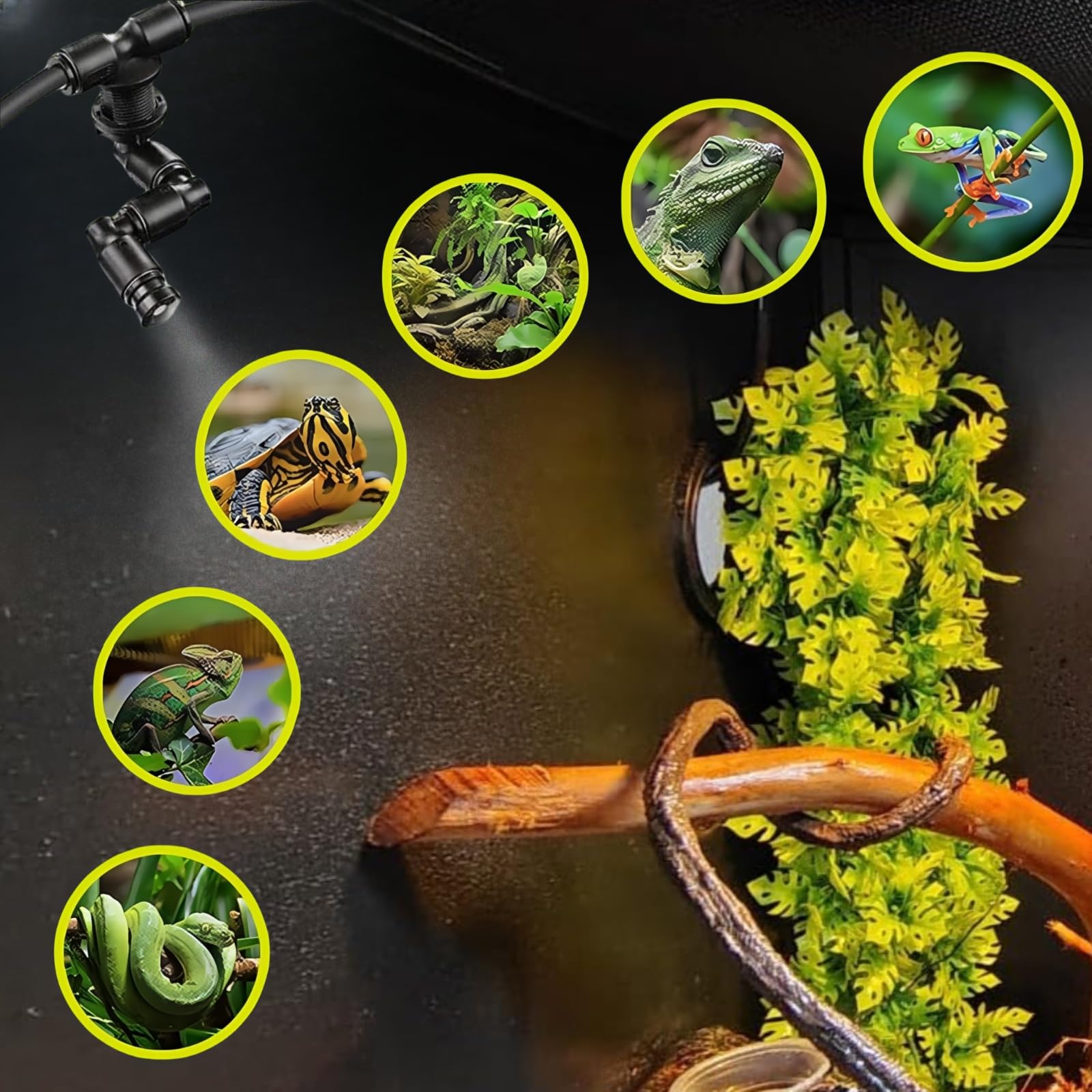 Humidificador Terrario Reptiles, Humidificador de Reptiles con Temporizador y Boquillas Pulverizadoras Ajustable 360 °, Brumizador Terrario, Sistema de Nebulización Terrario para Plantas Reptiles