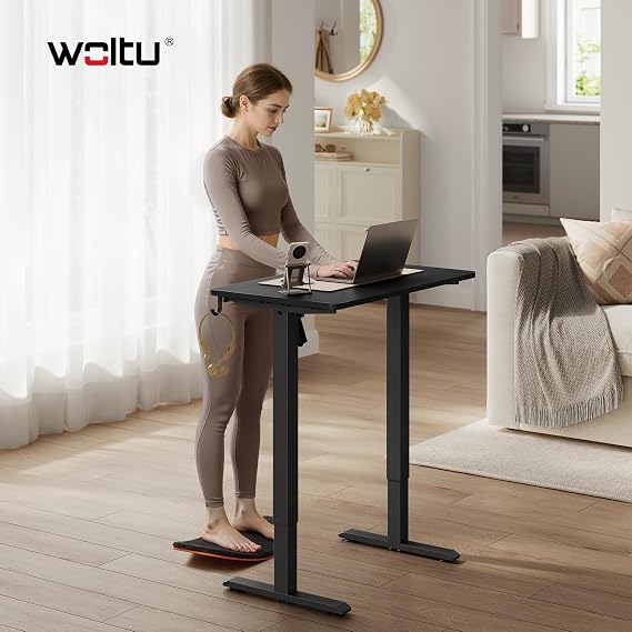 WOLTU Electric Standing Desk, Sit Stand Height Adjustable Desk, Small 80 x 48 cm, 3 Memory Settings, 80 kg Load Capacity, 2 Hooks for Home Office, Black