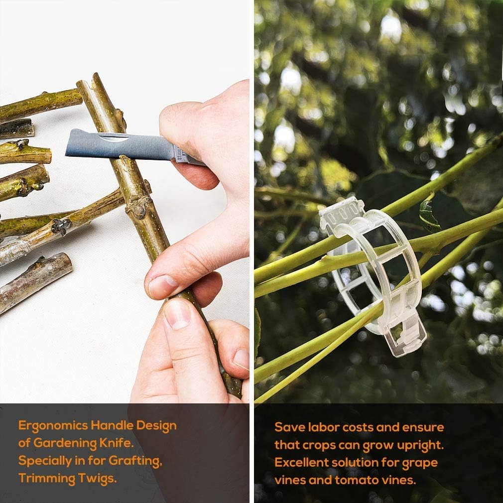 FUJIWARA Garden Grafting Tool, Multifunctional Pruning Scissors Kit, U-Graft/V-Graft/Omega-Graft Seedling for Fruit Tree Grafting Set,Including Grafting Tapes, Grafting Knife & Replacement Blades