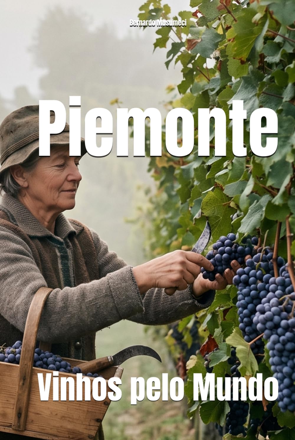 Piemonte: Vinhos pelo Mundo (Wines of the World: Italy)