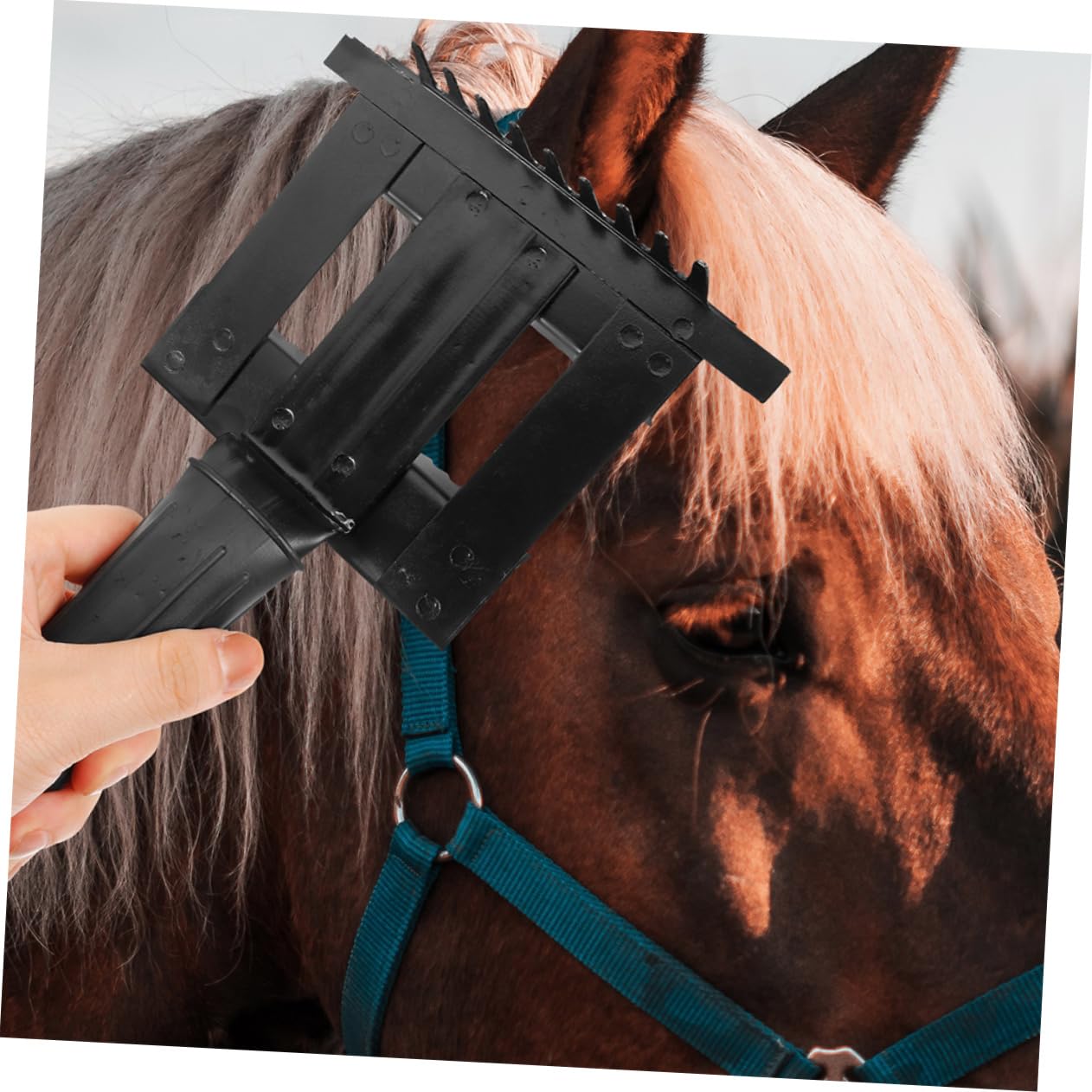 INOOMP 2pezzi Spazzola Per Toelettatura Crine Di Cavallo Pettine Metallico Per Pulizia Pelo Grande Animale Rastrello Portatile Per Cavalli e Bovini