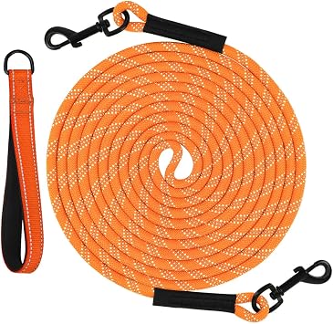 Taglory Long Dog Leash with Removable Padded Handle Tie Out, 15/30/50/66FT Heavy Duty Training Leash with 2 Swivel Hooks for Large Medium Small Dogs Camping, Hiking, Walking, Backyard, Orange, 50FT