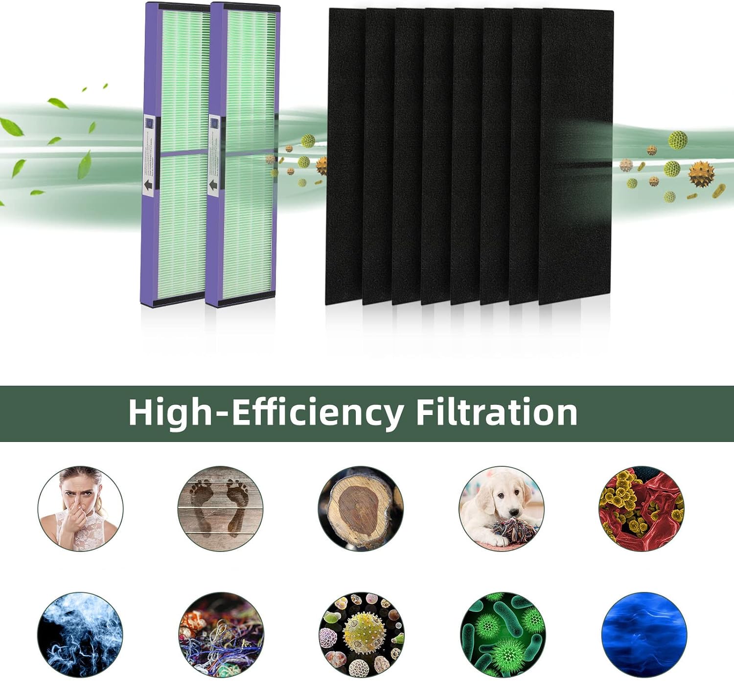 isinlive 2 Pack FLT5000 True HEPA Filter C Replacement with Pet Pure Treatment, and 8 Pack Activated Carbon Pre-Filters for Ger Guardian Air Purifier FLT5111 AC5000 AC5000E AC5250PT AC5350B AC5350BCA