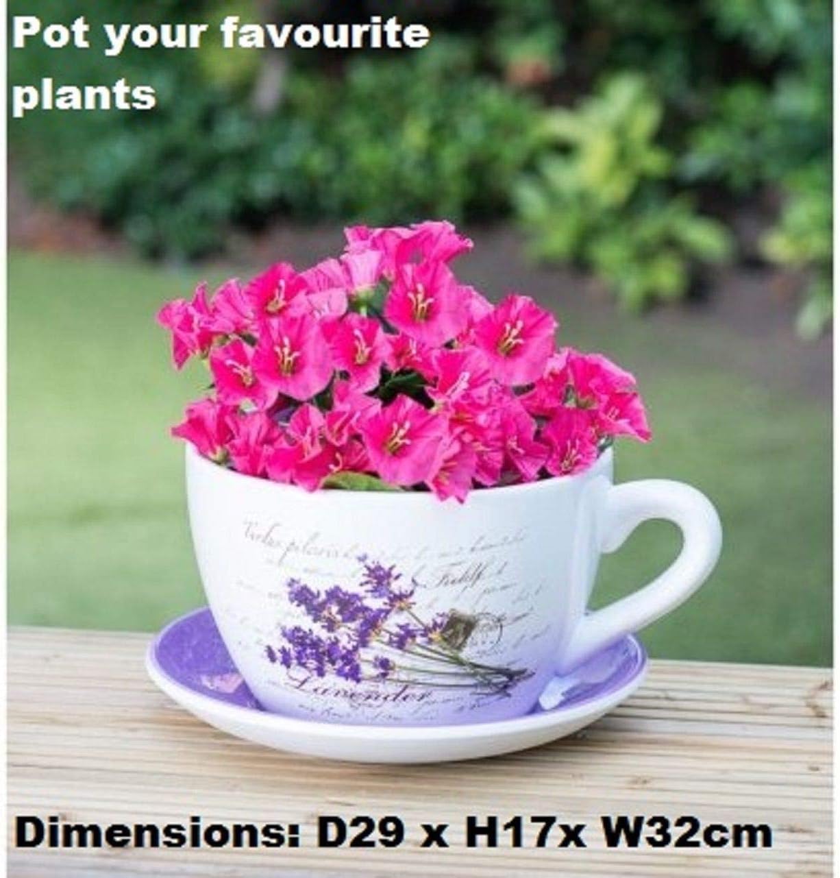 Kachhu® Traditional Bitterfly Vintage Beautiful Ceramic Teacup & Saucer Planter Decor