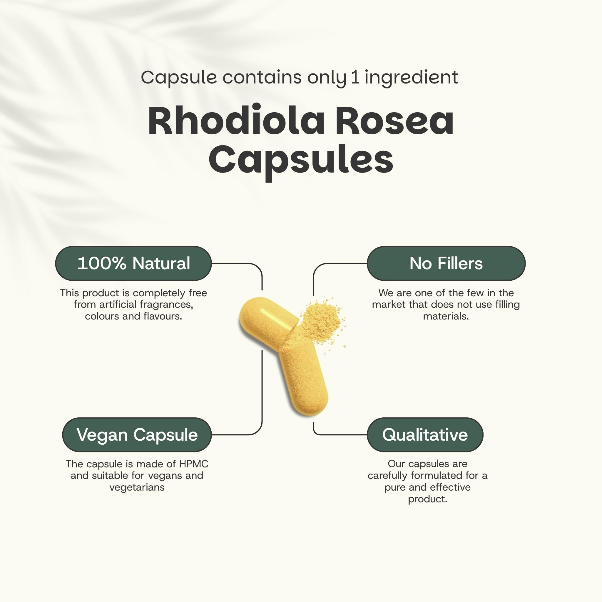 GOYU Rhodiola Rosea Kapseln 500 mg Kombideal 4x 60 Capsules - Rosavine – Fokus – Rosenwurz – Nootropikum Nootropika – Vegan – Ohne Zusätze – Laborgeprüft – 60 Tage Vorrat pro Beutel – Cupplement