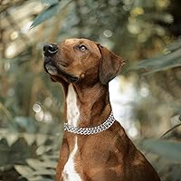 Vista 2 de Collar de cadena para perro, collar de estrangulamiento ajustable para perros pequeños, medianos y grandes (pequeño)