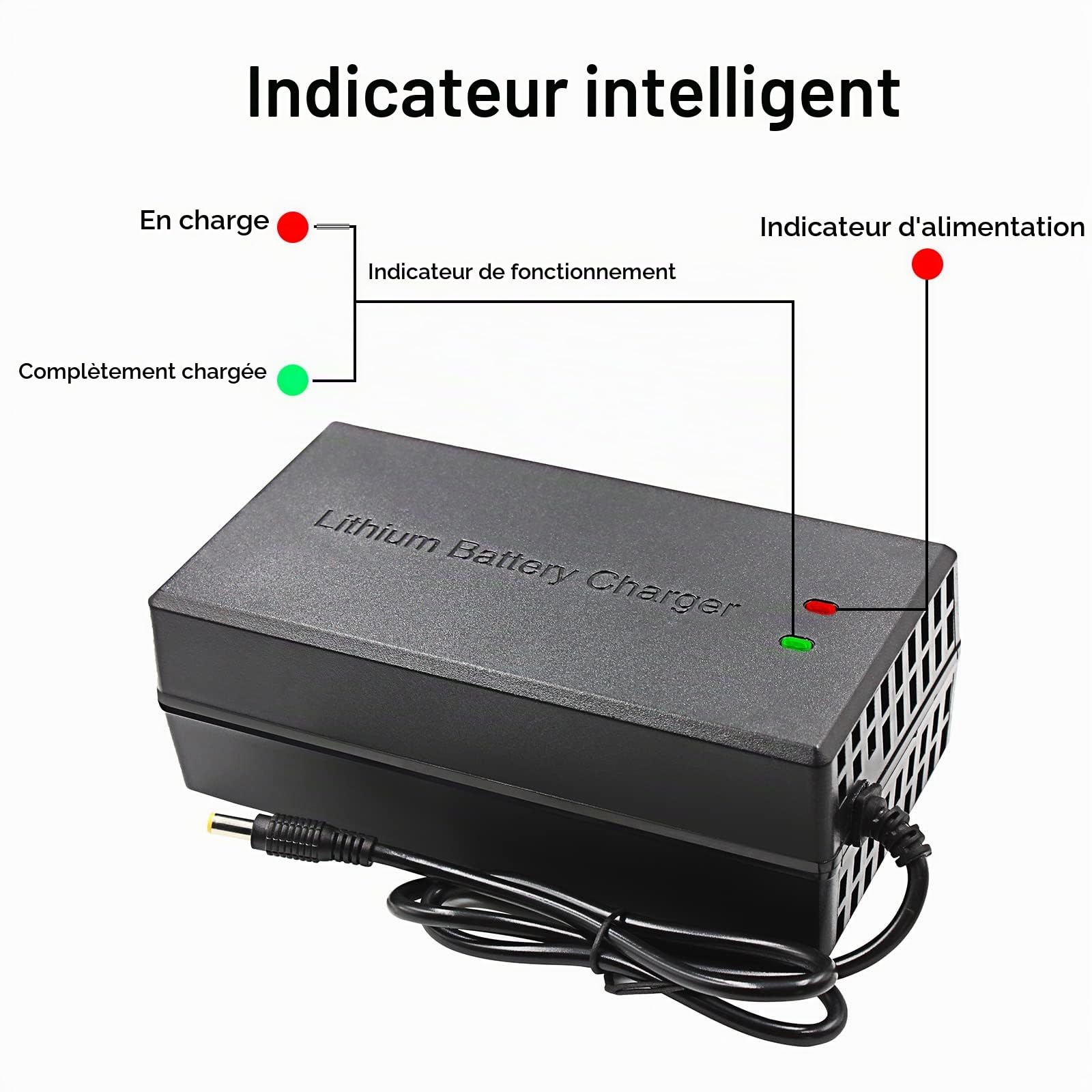 67.2v 5a Li-ION Chargeur de Batterie Multi-Plug pour Chargeur de Batterie de Moto de Bateau de Skateboard de vélo électrique 16S 60V (ne Convient Pas aux Batteries Plomb-Acide)