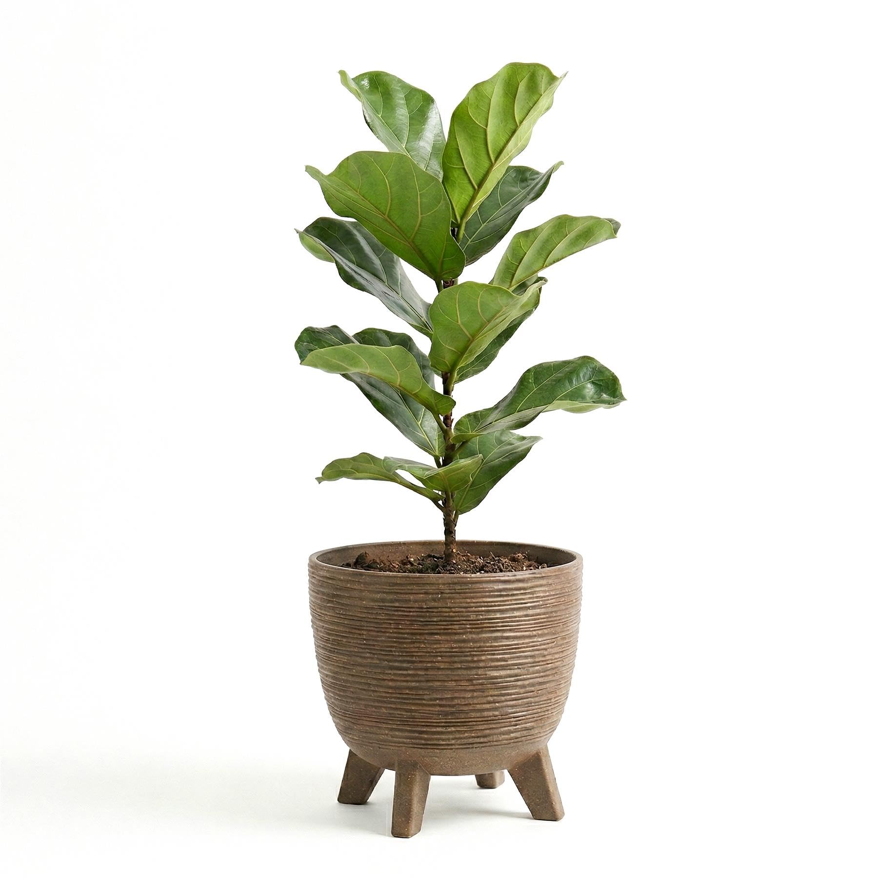 Geezy Cream Brown Plant Pot With Legs, 39.5 Cm - Weather Resistant Indoor & Outdoor Planter - Modern Textured Flower Pot For Living Room, Garden & Patio