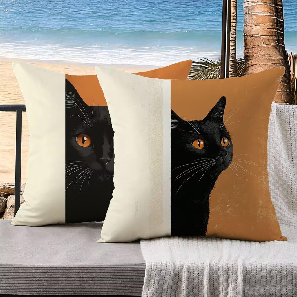 Housse de coussin 70x70 lot de 2 chat : cocon douillet chambre