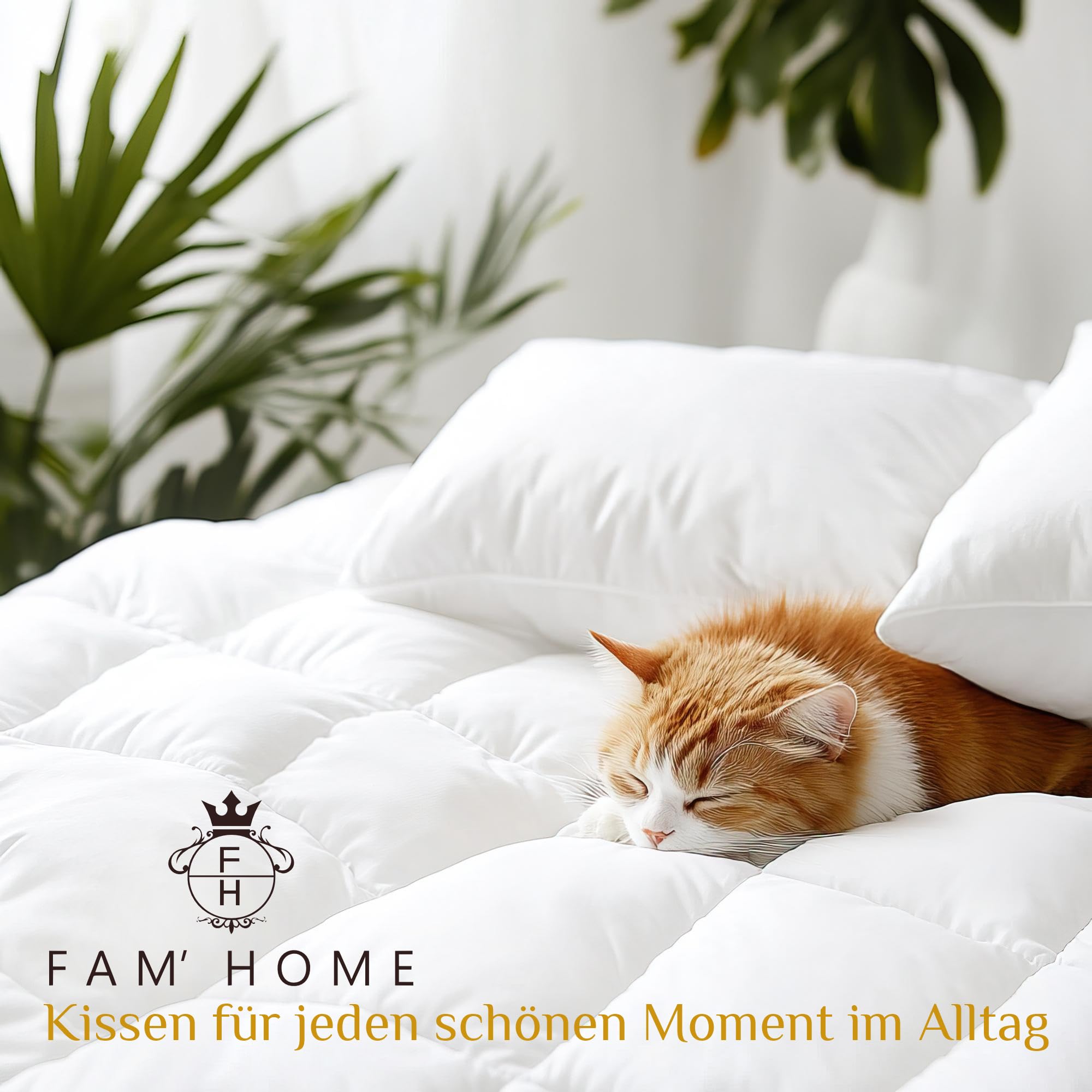 FAM Home Kissenfüllung 80x80 cm 4er Set Sofakissen Dekokissen 1000g | Ideal als Innenkissen & Füllkissen für Zierkissen: Mittelfest, hypoallergen und maschinenwaschbar. Perfekte Form für Bezüge.