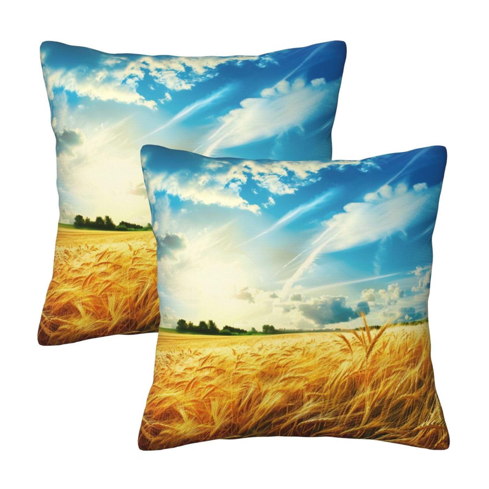 kkvhhyuo Wheat Field Print Pillow Covers Set of 2, Square Decorative Cushion Covers with Hidden Zipper, Throw Pillow Cases for Living Room Sofa Bed Chair, 50x50 cm