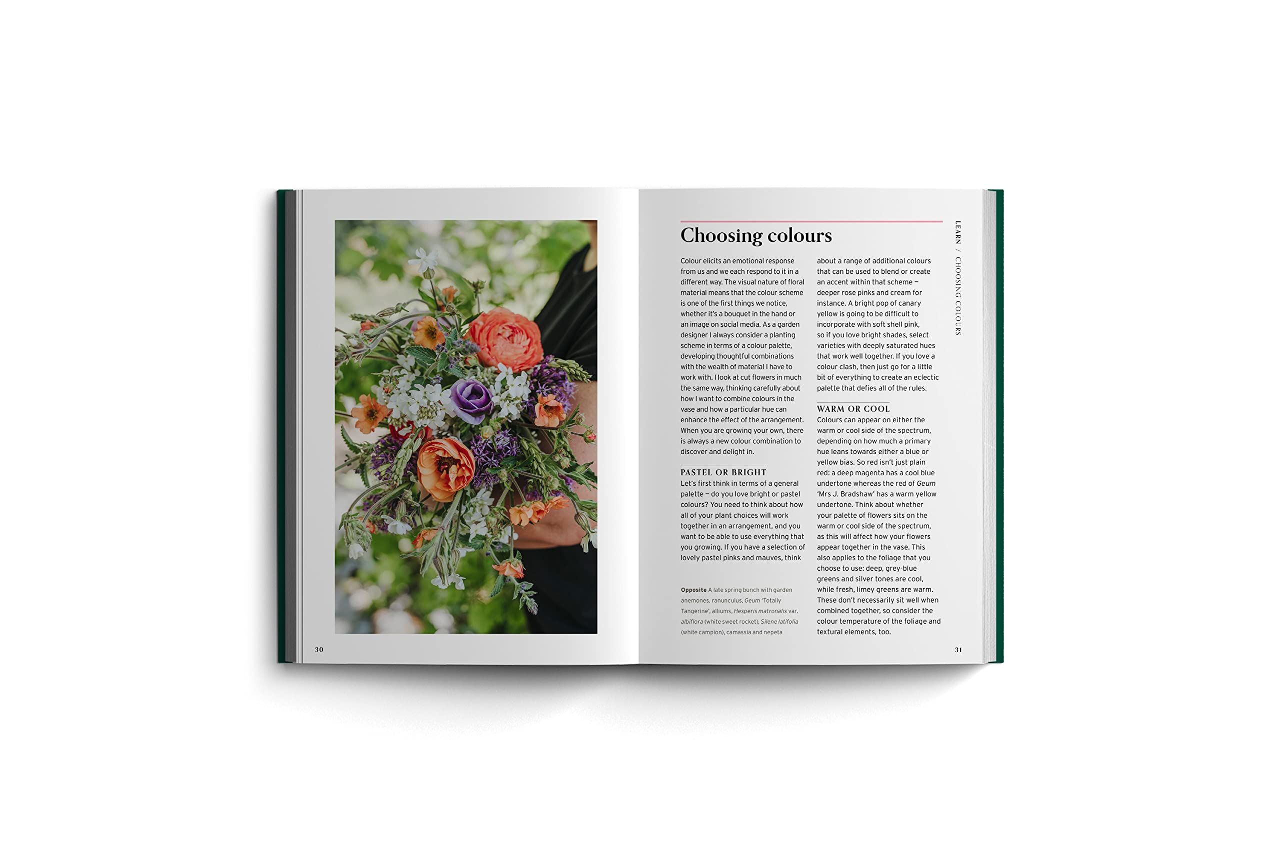 Cut Flowers: Bloom Gardener's Guide: Prepare the ground, sow seed, nurture, harvest, fill your vases (3)