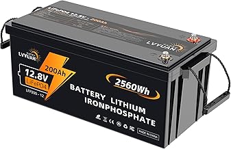 LiFePO4 LiFePO4 Lithium Iron Phosphate Battery, 12 V, 200 AH, Storage Capacity, 2.56 KWh, Discharge Current: 200A, 12V, 2000W, Inverter, 10 Years Durability, For Overnight in Cars, RVs, Campers, Solar