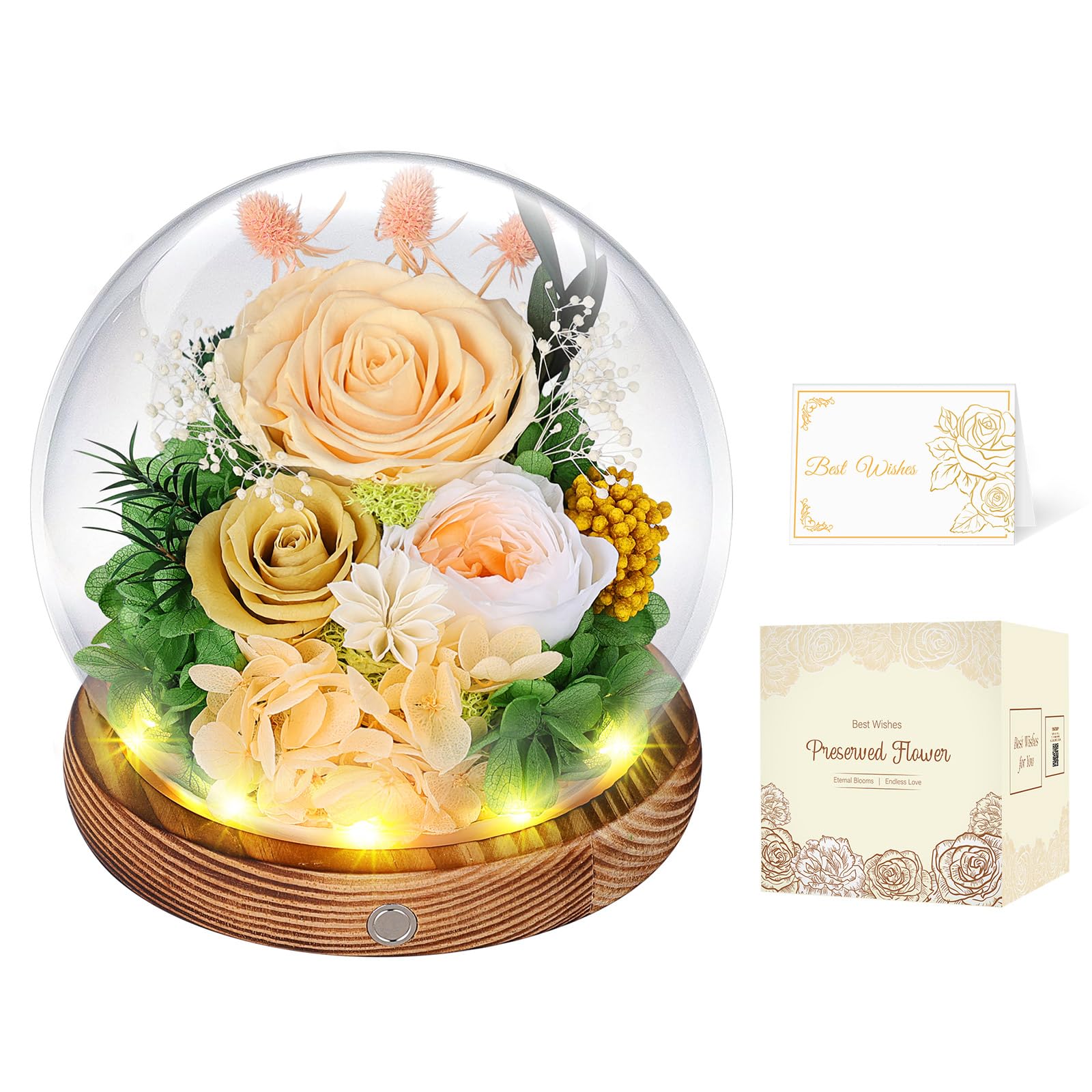 Rose Eternelle sous Cloche avec LED, Fleur Eternelle Cadeau, Boite Rose Eternelle, Cadeau pour Femme, Copine, Amie, Mere, Grand Mere, pour St-Valentin, Anniversaire, Fete des Meres (Champagne)