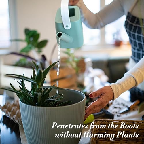 Miniatura 3 de Regadera pequeña, regadera para plantas de interior con boquilla larga extraíble y asa, regadera de plantas para plantas de casa, flores, jardín,