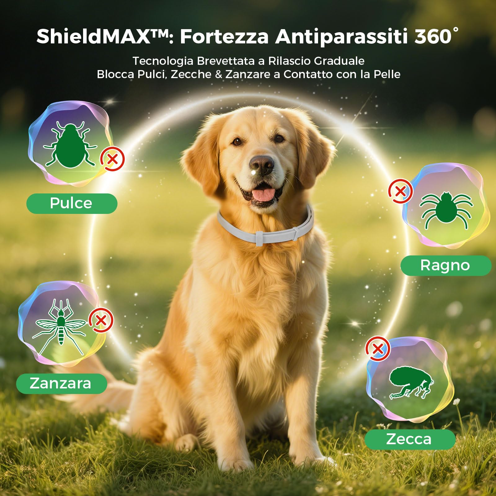Collare Antiparassitario Per Cani, 69cm Impermeabile & Regolabile, Protezione Efficace per 8 Mesi Grigio
