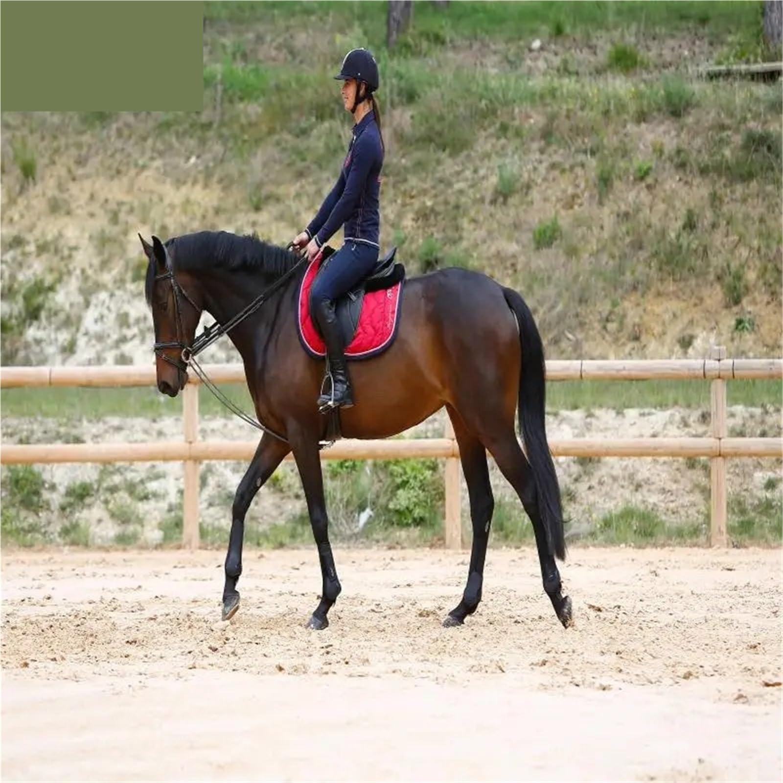 Brida for Tirar de Caballo, Cuerda de rienda, arnés de equitación Ecuestre, Halter para Caballos