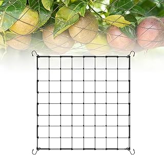 Ranknetz, Bohnen Rankhilfe, Pflanzennetz Großer Maschenweite, Kletterpflanzen Netz 60x60 cm, Gitternetz Grow Elastische Spalier mit 4 Haken, Rankhilfen Kann auf 100x100 cm Gedehnt Werden