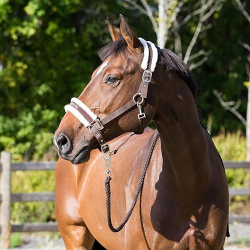 Miniatura 4 de HORZE Howard - Caballo de poliéster acolchado de forro polar suave, correas fáciles de ajustar, herrajes de níquel cepillado
