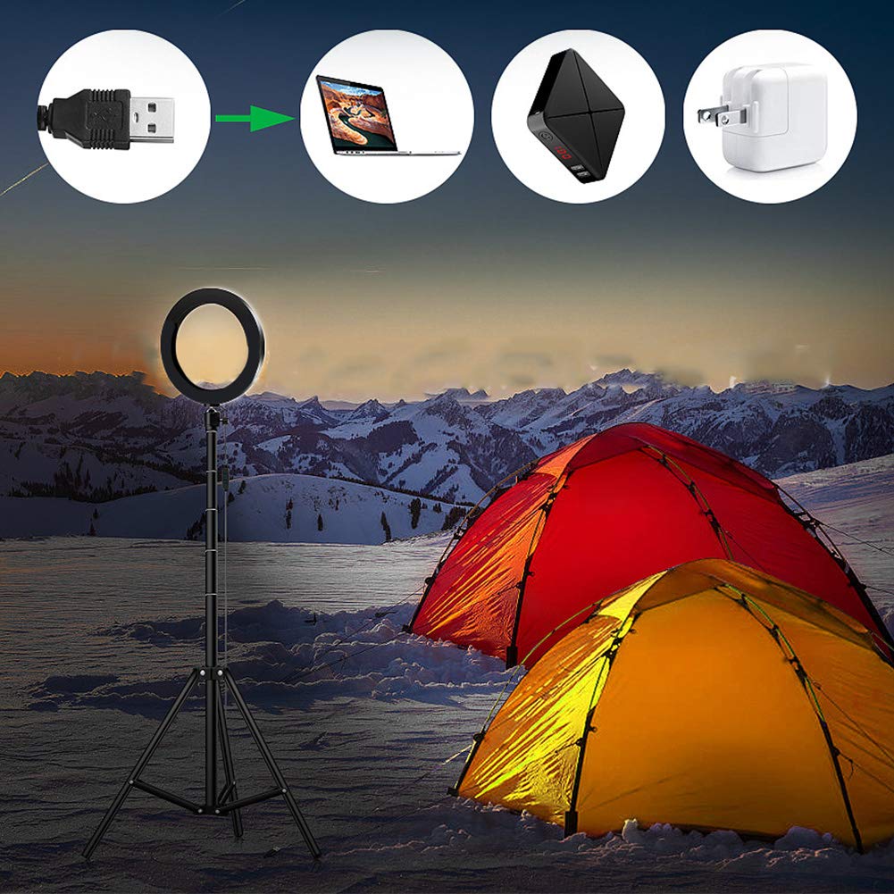 Luce per Selfie con Supporto 20 Cm Fotografia Dimmerabile LED Luce per Selfie Video Lampada USB dal Vivo con Supporto per Telefono Treppiede LED Anello Luminoso Smartphone Cellulari Cellulari
