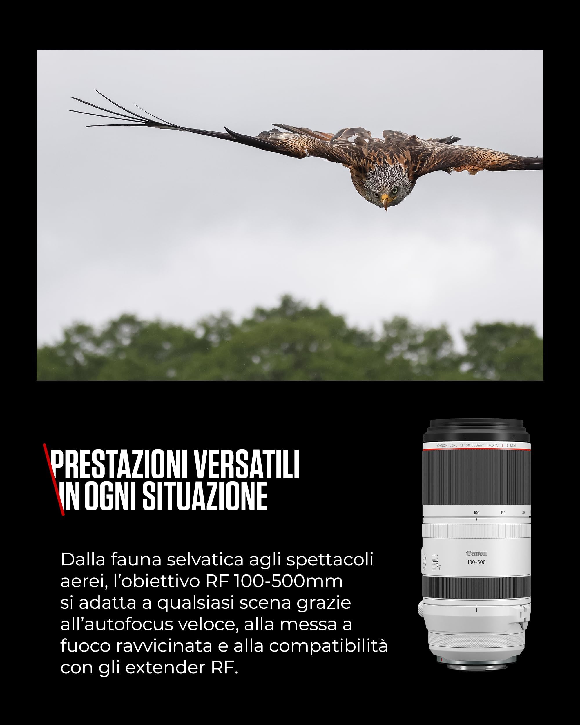 Canon RF 100-500mm F4.5-7.1L IS USM Obiettivo