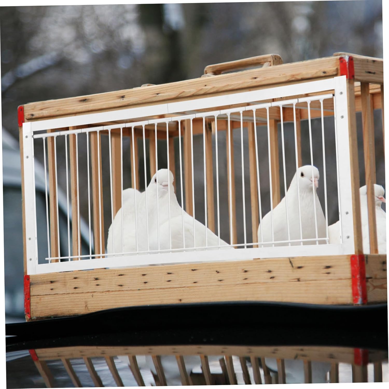 VANZACK Stainless Steel Pigeon Trap Door Racing Pigeons Entrance Door Trap Pigeon Birdcage Entrance Trap