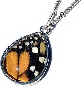 Amazon.com: Chrysalis Studios Recycled Monarch butterfly wing