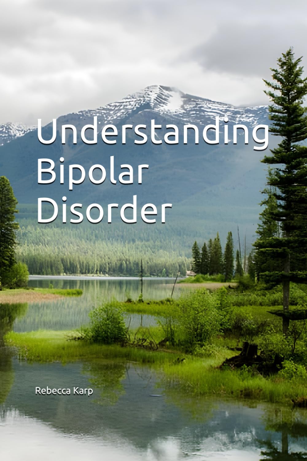 Understanding Bipolar Disorder