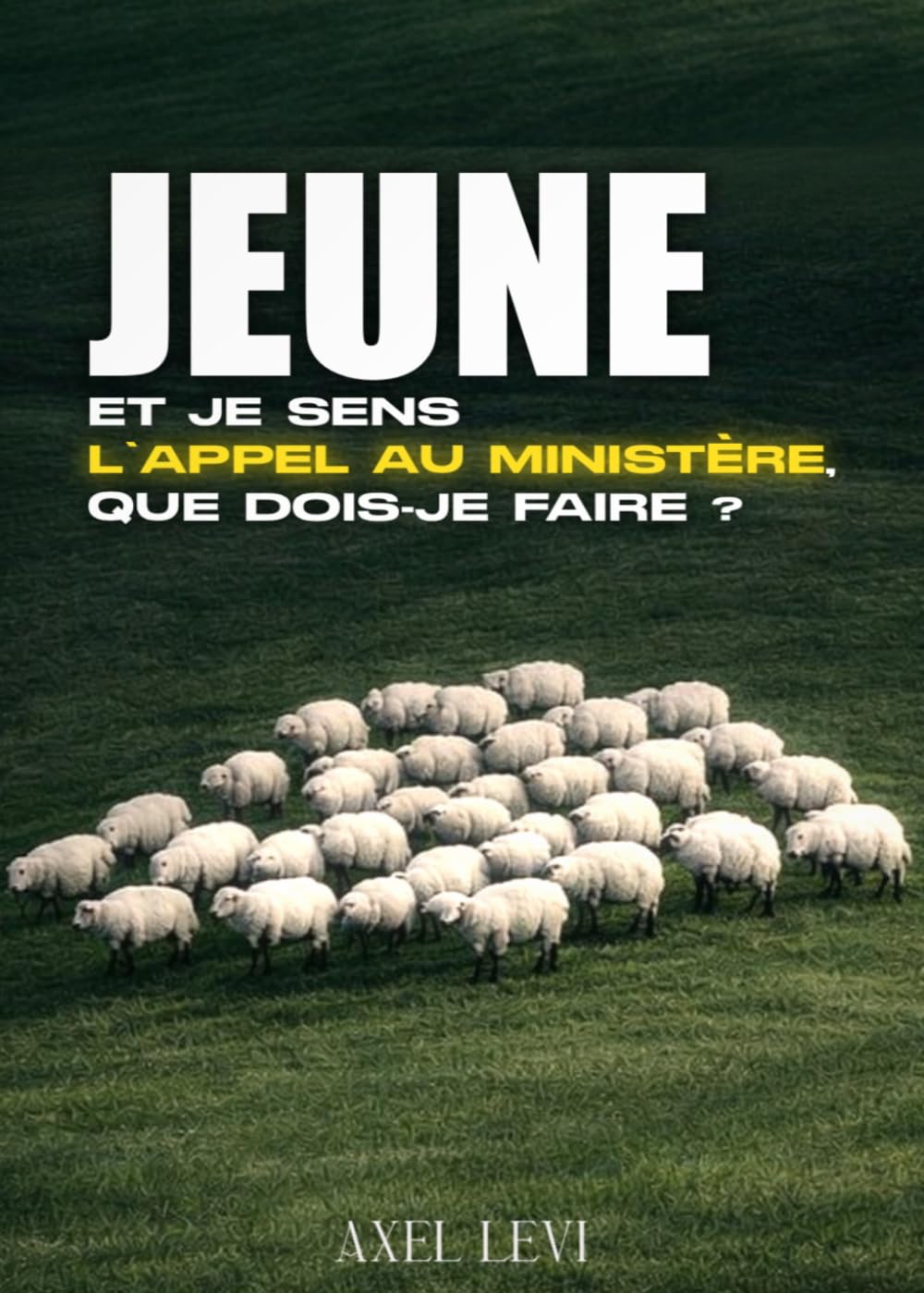 JEUNE ET JE SENS L'APPEL AU MINISTERE, QUE DOIS-JE FAIRE ?