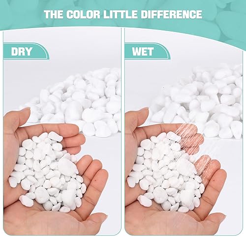 Miniatura 4 de WHANLEY L&Q Grava mate, rocas blancas naturales de río (0.4  0.8 pulgadas), grava blanca, piedra de relleno de jarrón, grava de guisantes, rocas,