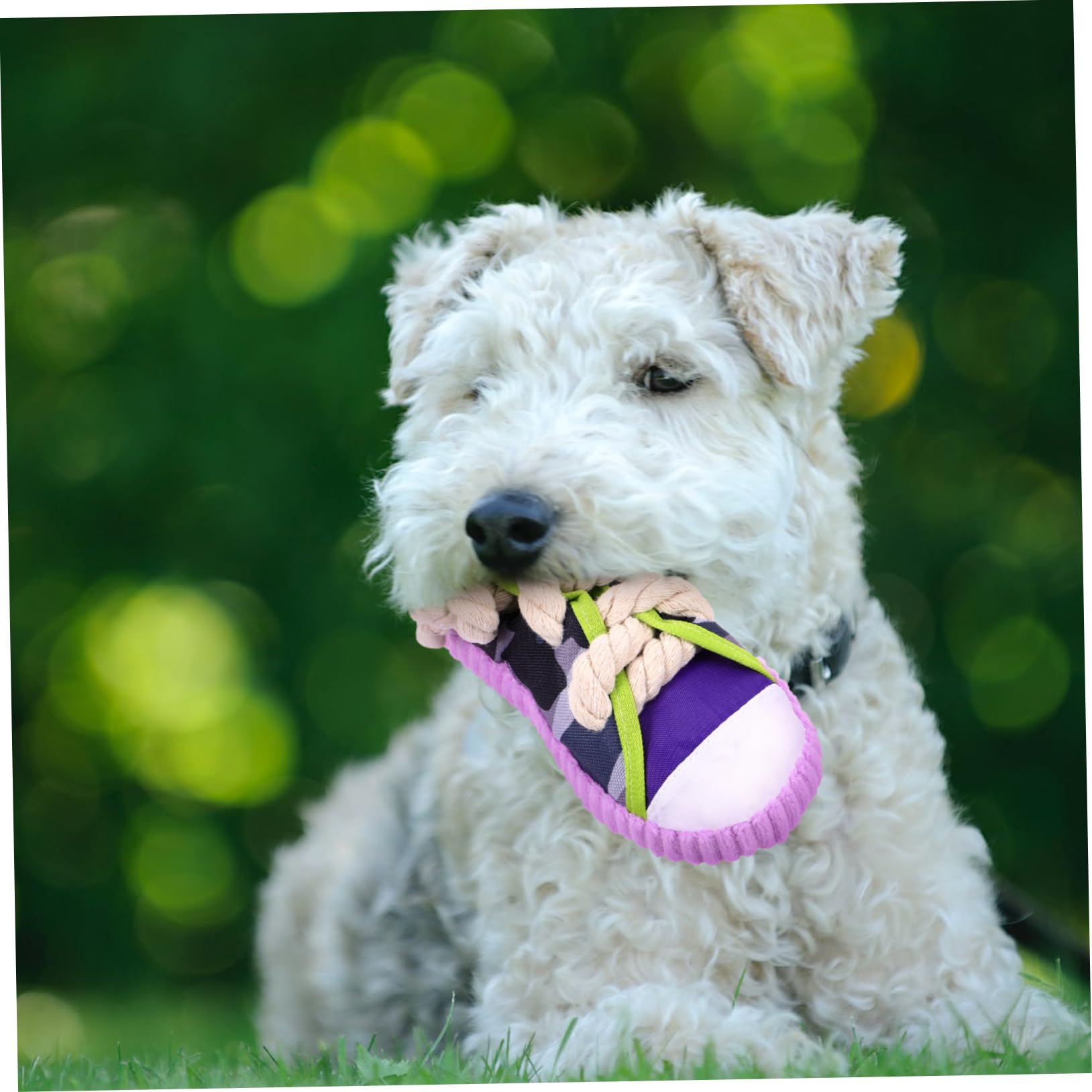 Mikikit Giocattolo da Masticare per Cani e Cuccioli, Forma di Scarpa, in Tela e Corda di Cotone, Squeaky, Facile da Pulire, Interattivo