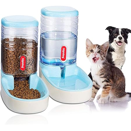self feeding for cats