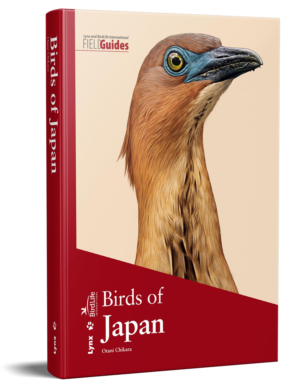 Birds of Japan