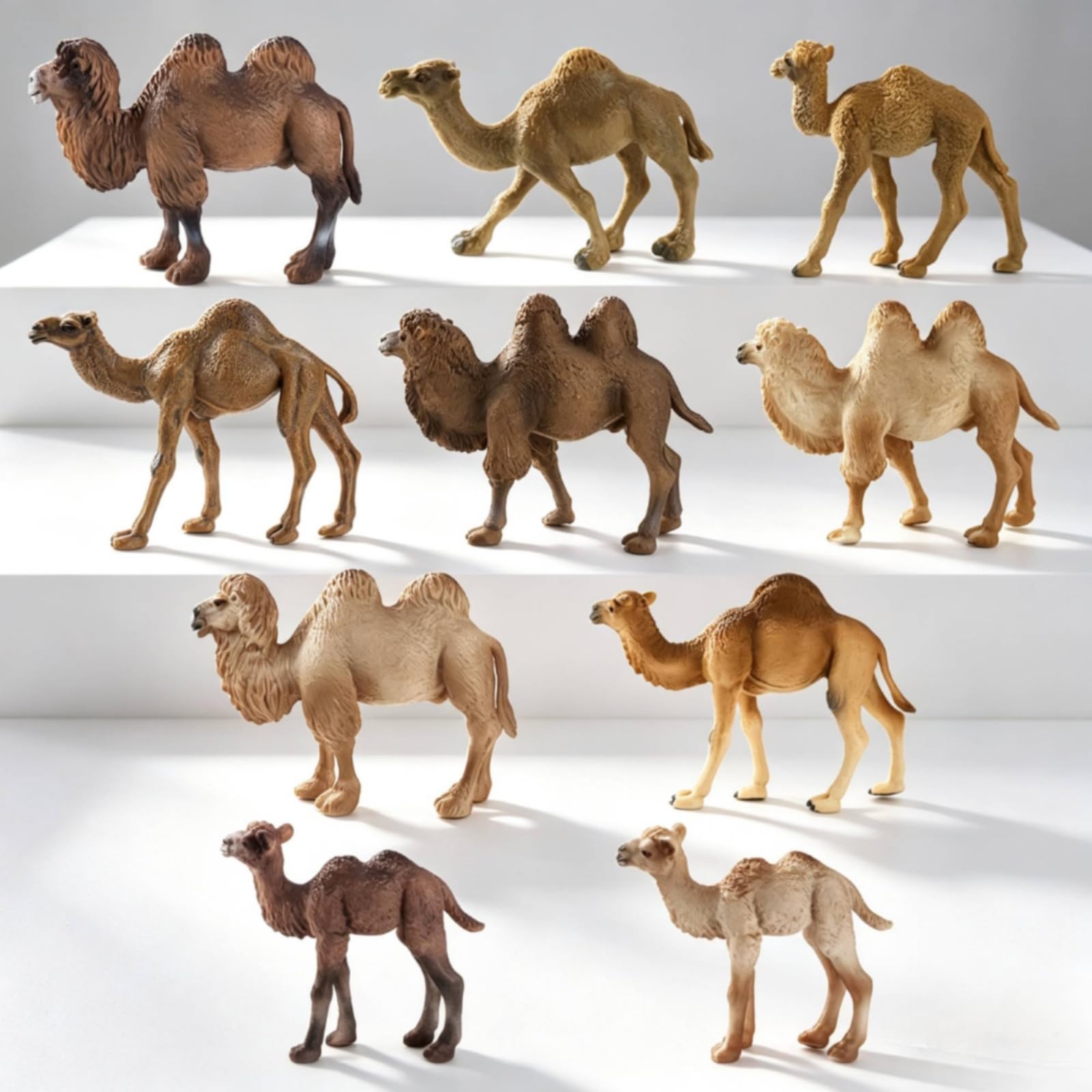 Colcolo Figurina Cammello Figurina Dromedario Miniatura Modello Animale Scultura Realistica in PVC Solido Del Accurati Adatta