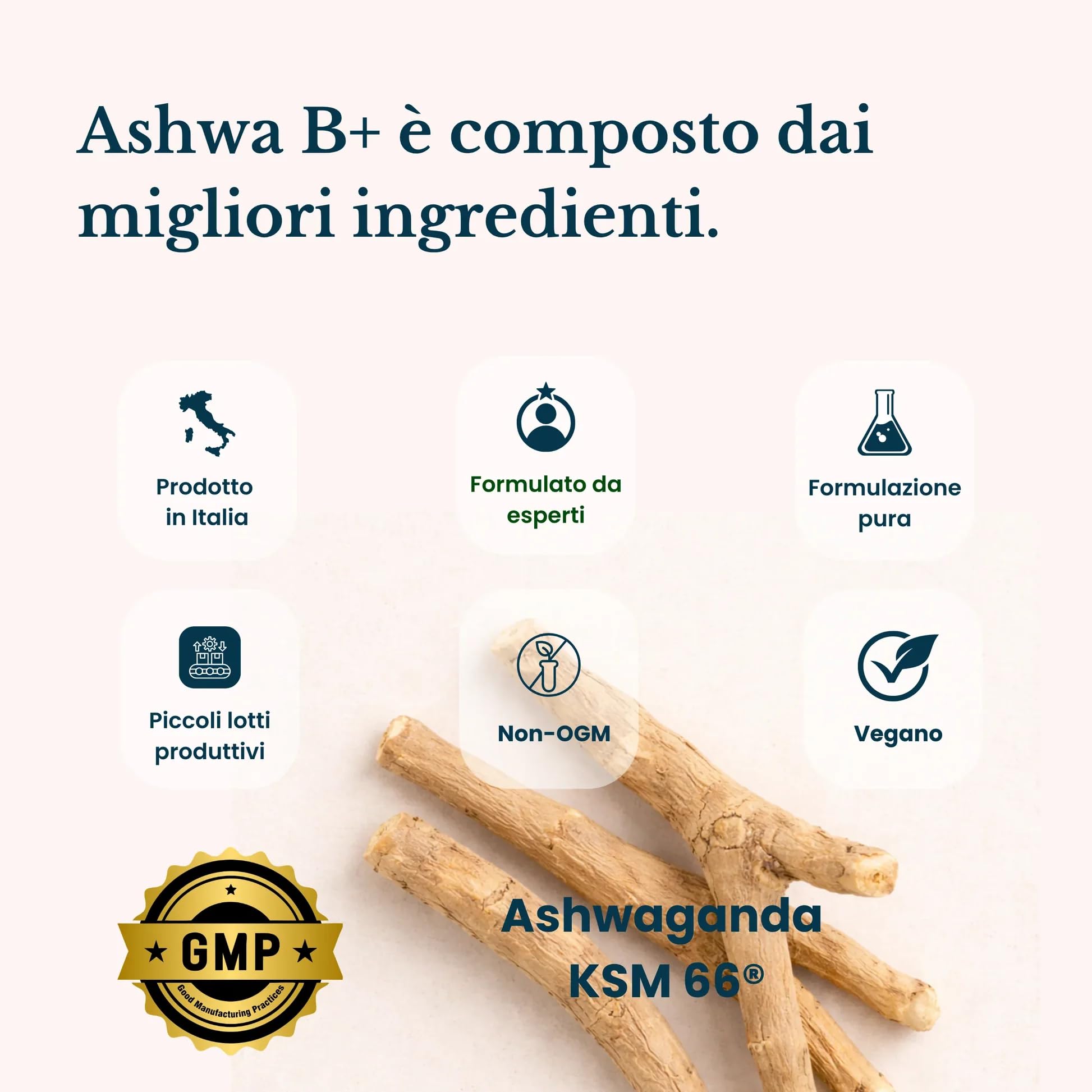 GOFOR360 Ashwa-B+ Ashwagandha KSM-66 Brevettata + 5 Vitamine del Gruppo B Alto Dosaggio | Integratore Stress, Energia e Lucidità Mentale | 60 Compresse 2 Mesi | Made in Italy