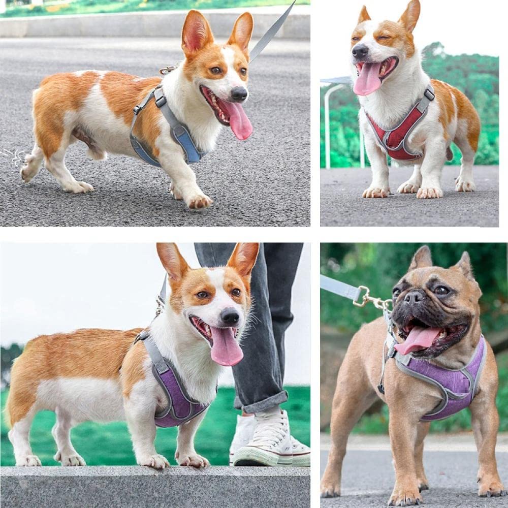 SLA290 Pettorina Regolabile Per Cani Taglia S – Collare Comfort In Nylon Viola, Larghezza 15 Mm, Giro Collo 35-50 Cm - 2