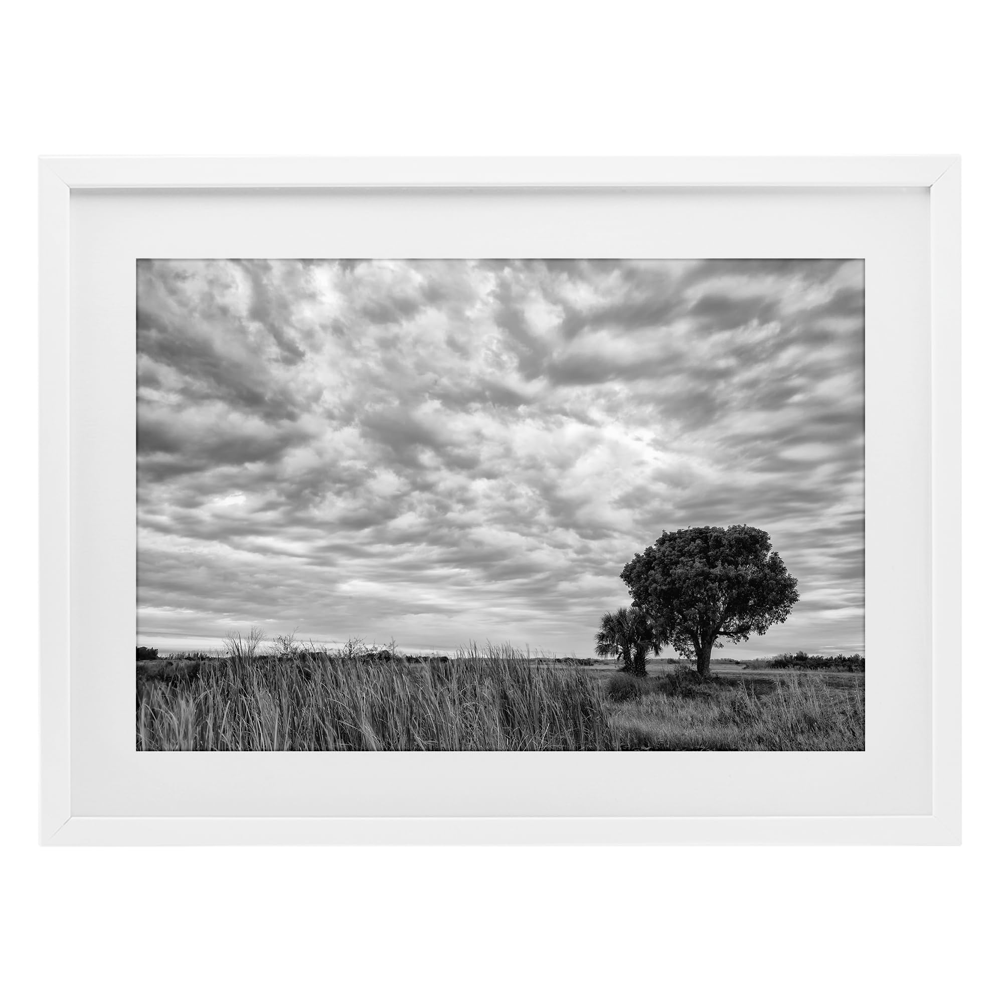 Stupell Industries Solitary Tree Beneath Clouds, Greyscale Landscape Serenity for Living Room, 17 x 23 Inch Framed Matted Print Under Glass, by Jon Evan, Made in USA Gift