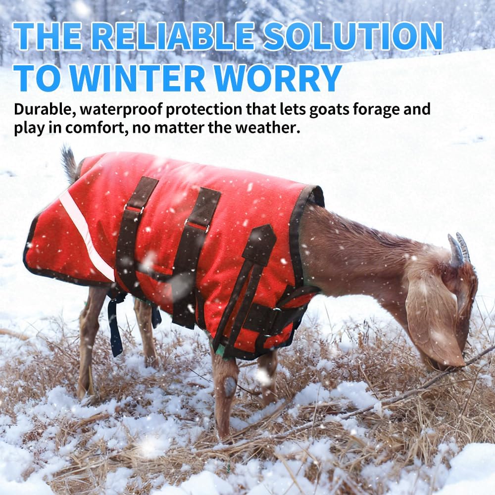 Winter Goat Blanket with Adjustable Belly Wrap for Teenage Lambs (4-8 Months), Adult Goats, Sheep, Medium/Large Breed Dogs, Calves & Mini Pigs, 1680D Water Resistant, 150g 【25.5” Back】