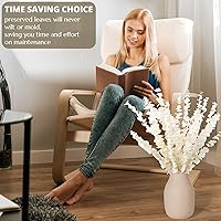 Vista 3 de 16 tallos de eucalipto conservados blanqueados, ramas de eucalipto conservadas de 16 pulgadas de color blanco crema natural, tallos de eucalipto