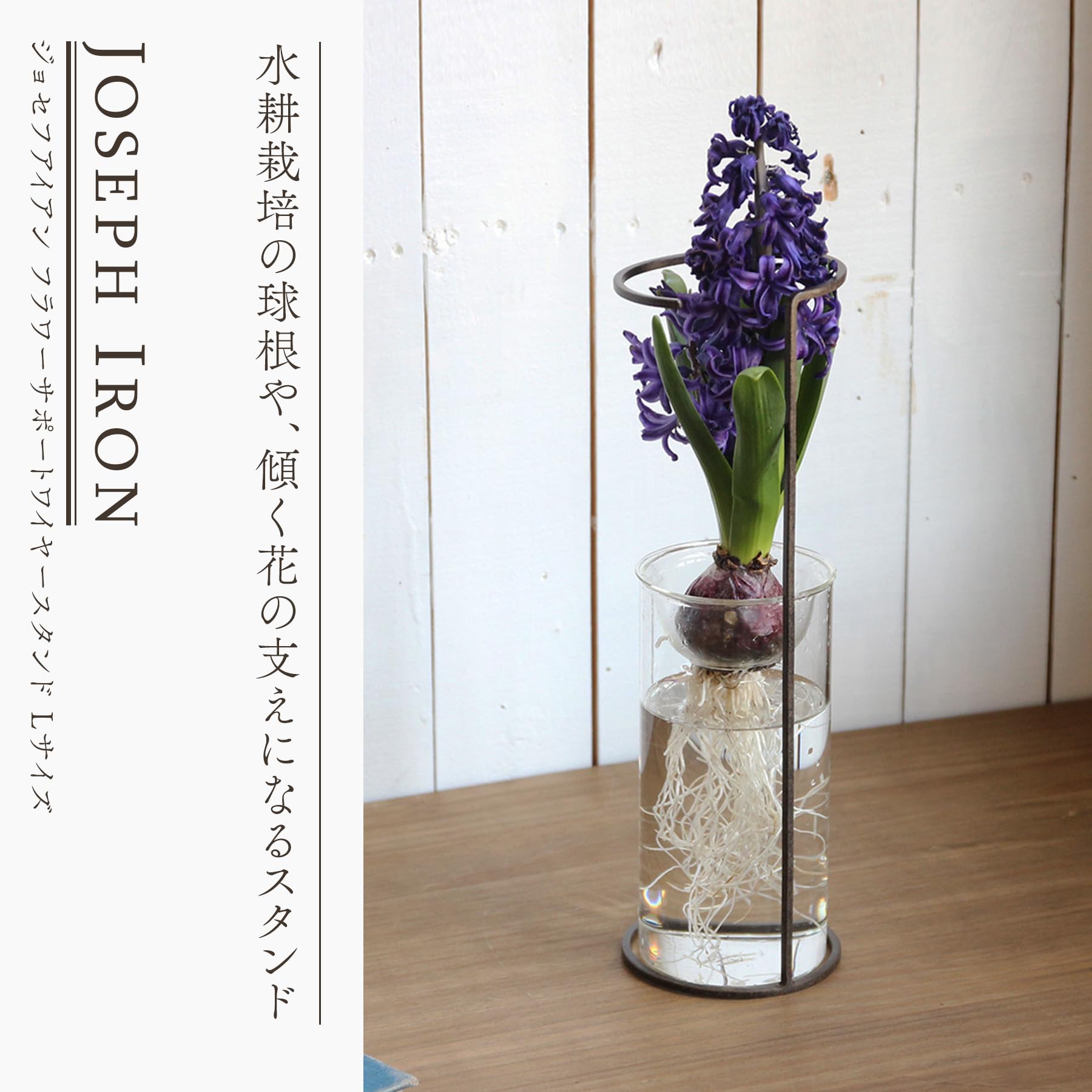 Amazon.co.jp: SPICE OF LIFE(スパイス) 花ささえ フラワー