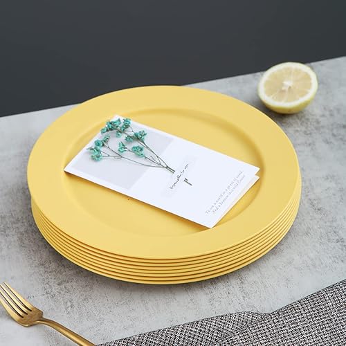 Miniatura 8 de Kyraton Platos grandes de plástico de 10 pulgadas, 8 piezas, aptos para lavavajillas, irrompibles y reutilizables, ligeros, aptos para microondas,