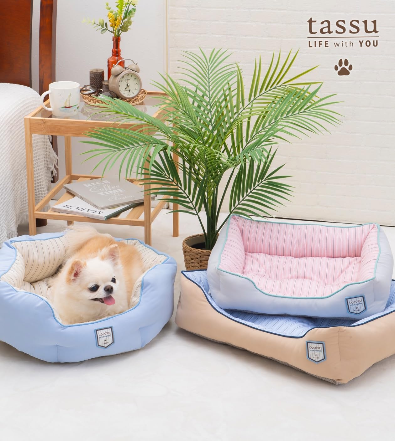 Amazon.co.jp: tassu Cocoru ペットベッド 犬用 猫兼用 スクエア 春