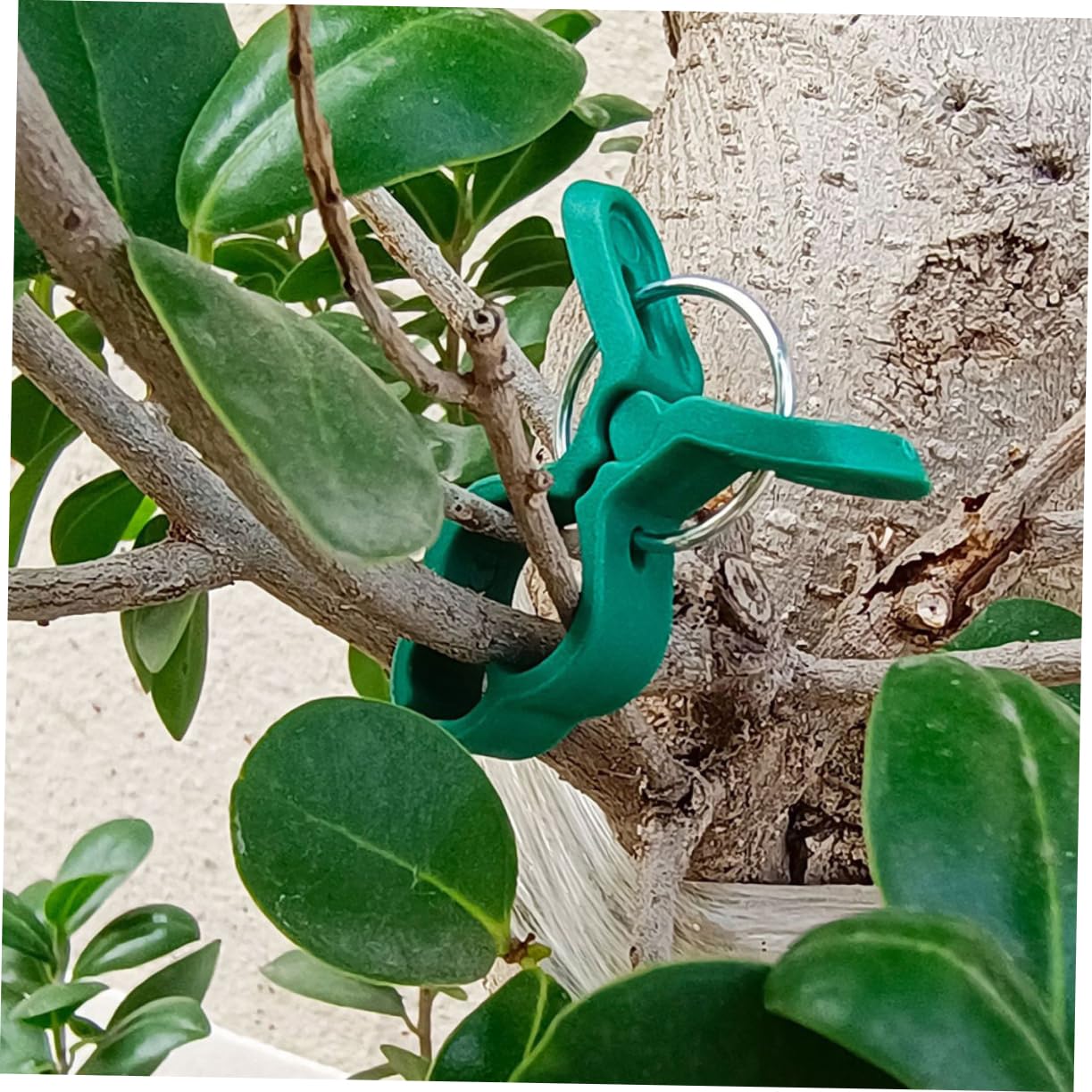 60 Pezzi Clip per Piante in Plastica Clip di Fissaggio per Vite per Pomodori Morsetto da Giardino Morsetto per Orchidee Forniture da Giardino