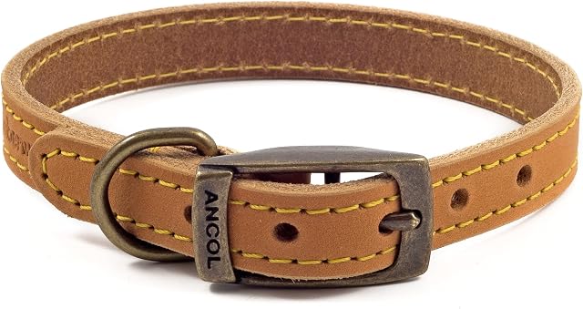 Ancol Timberwolf Leather Dog Collar Mustard, to fit neck 35-43 cm (size 4)