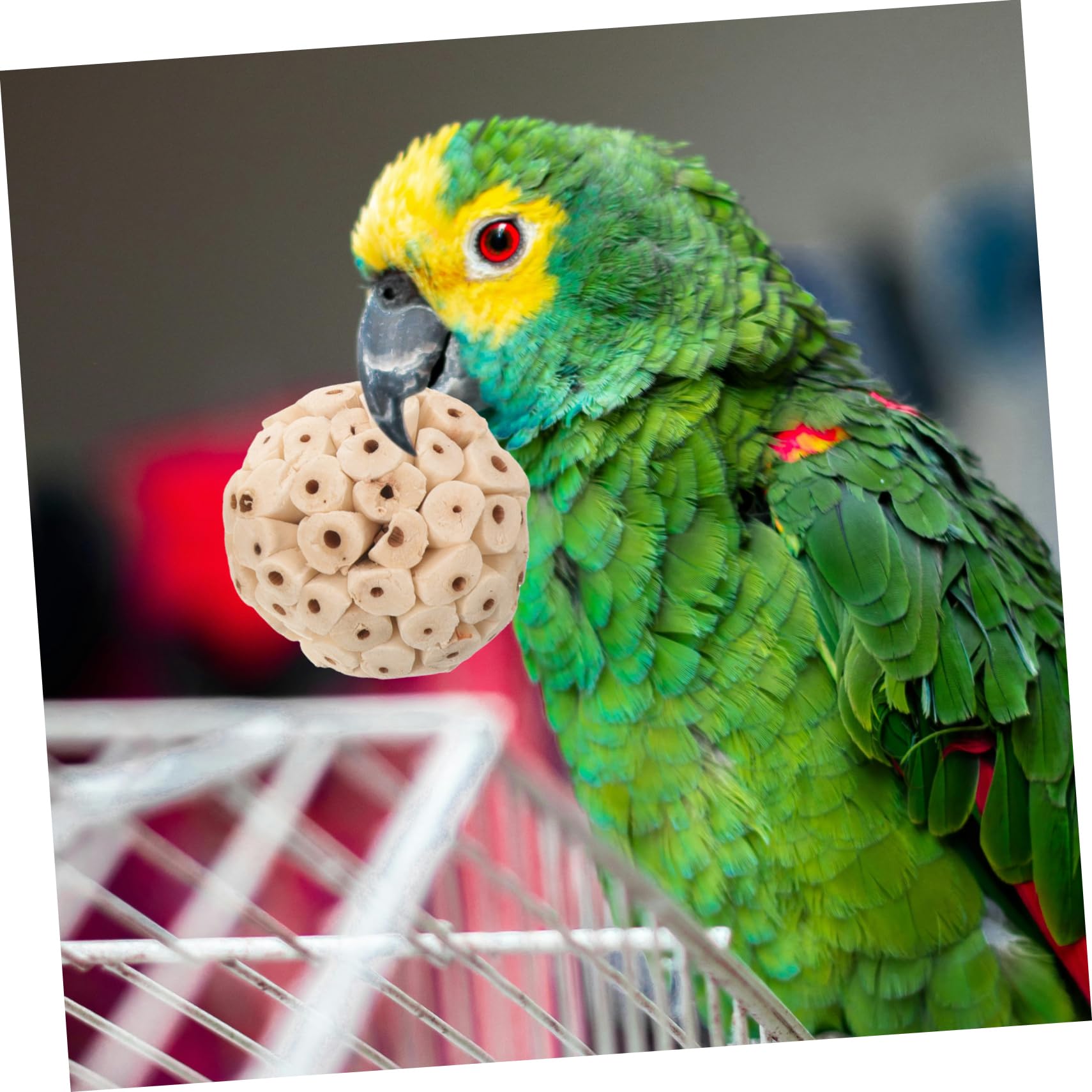VANZACK 36pièces Jouets à Mâcher pour Oiseaux Rotin Résistantes pour Perroquets Et Cockatiels Décoration Et Activité Ludique